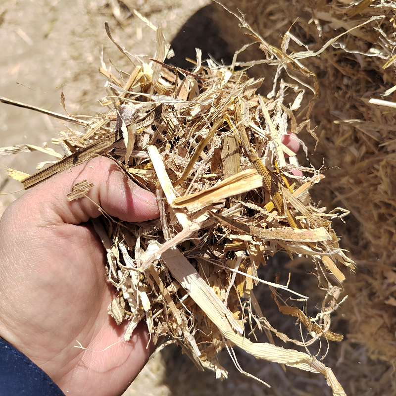 玉米揉丝大白包