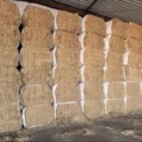 盛钧农产品销售有限公司