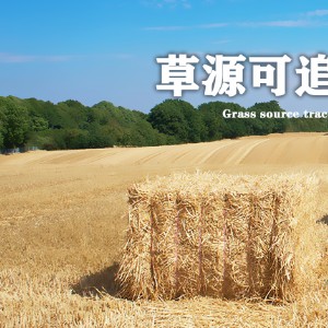 内蒙古金鸰文化传媒有限责任公司